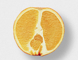 navel_orange navel_orange