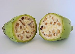 wild_banana wild_banana