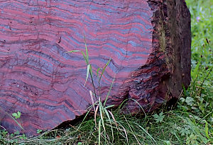 Banded iron formation, caused by layers of oxidized iron