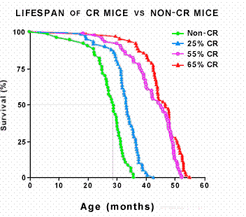 CR Mouse Longevity Chart