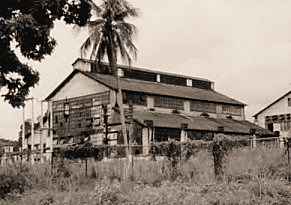 A dilapidated building from Fordlandia