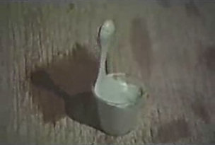 Ice Cream being levitated by the Hutchison Effect