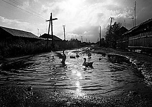 Former main street in the village of Muslyumovo © Greenpeace / Robert Knoth