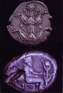 Cyrene coins depicting silphium
