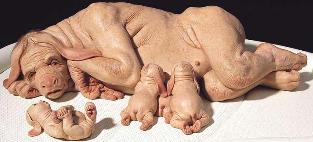 Far from the cute, romanticized creatures envisioned in mythology, the idea of actual human-animal hybrids (also known as parahumans) is unsettling, as Patricia Piccinini's sculpture "The Young Family" shows. 